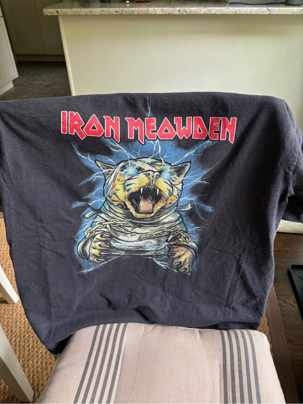 Hanes Black "Iron Meowden" Graphic Tee with Multicolor Cat Print